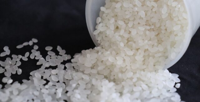 お米に黒い虫が…！食べても大丈夫？発生理由と対策 | 食料生産のトータルソリューション 児島製機｜岐阜県の精米機器・金属製作